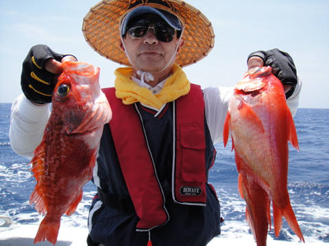 [Cނ