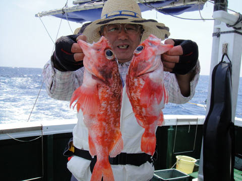 [Cނ