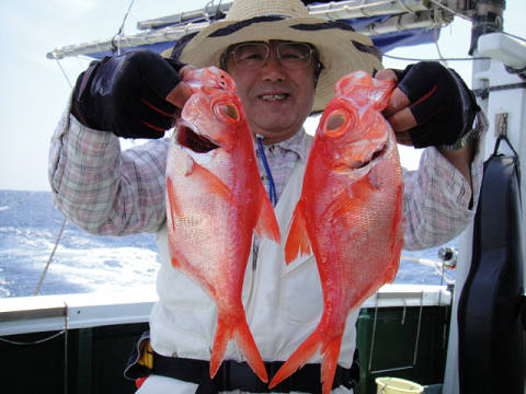 [Cނ