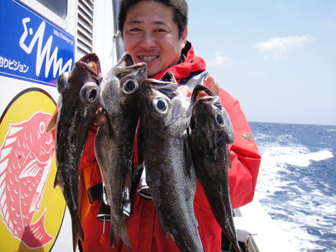 [Cނ