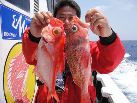 [Cނ