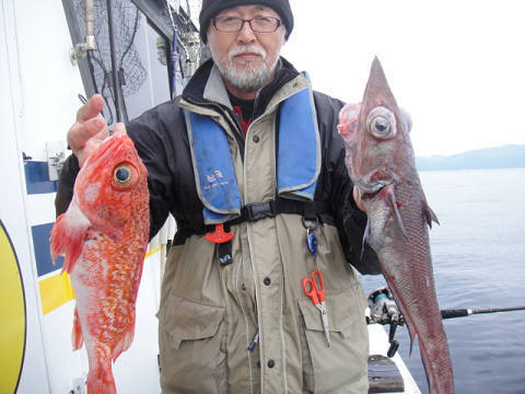 [Cނ