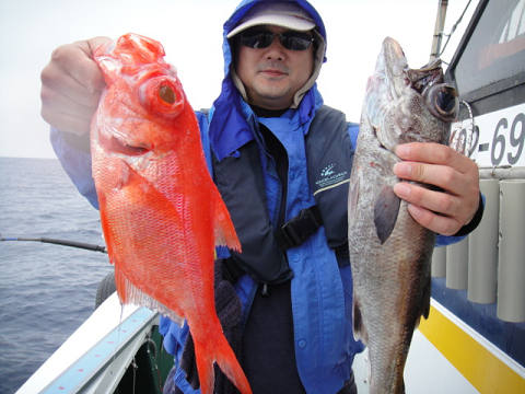 [Cނ