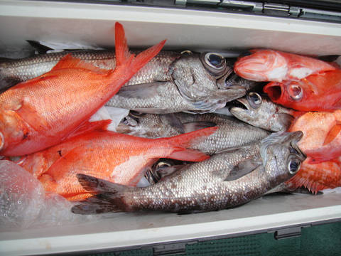 [Cނ
