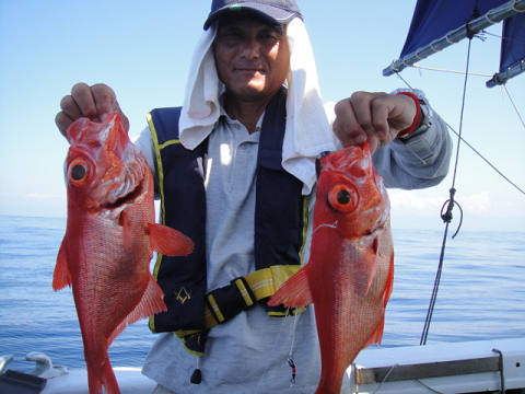 [Cނ