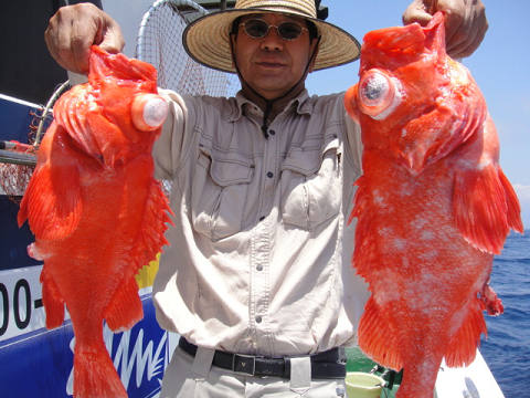 [Cނ