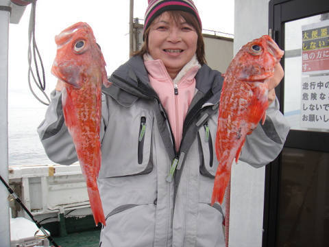 [Cނ