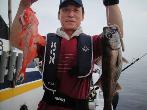 [Cނ