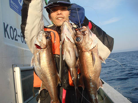 [Cނ
