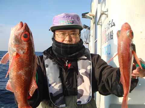 [Cނ
