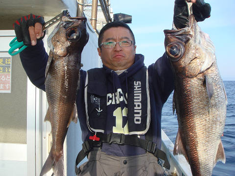 [Cނ