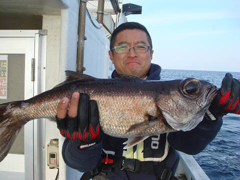 [Cނ