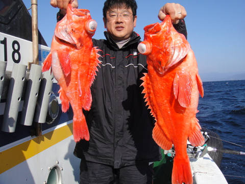 [Cނ