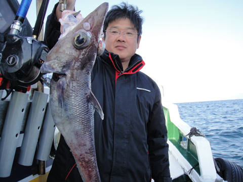 [Cނ
