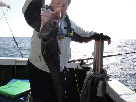 [Cނ