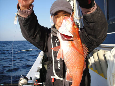 [Cނ