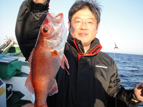 [Cނ