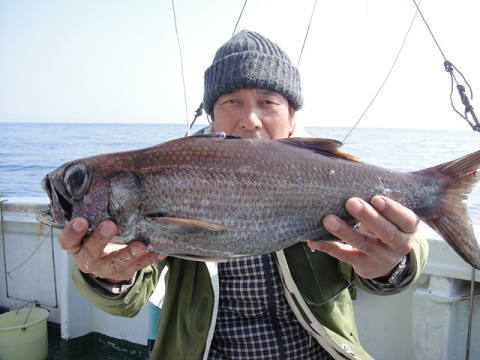 [Cނ