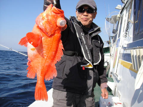 [Cނ