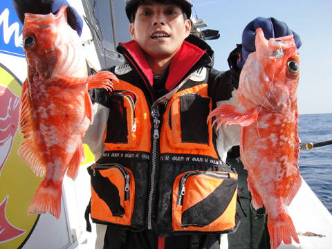 [Cނ