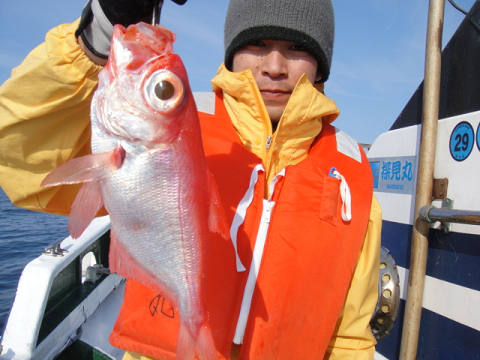 [Cނ