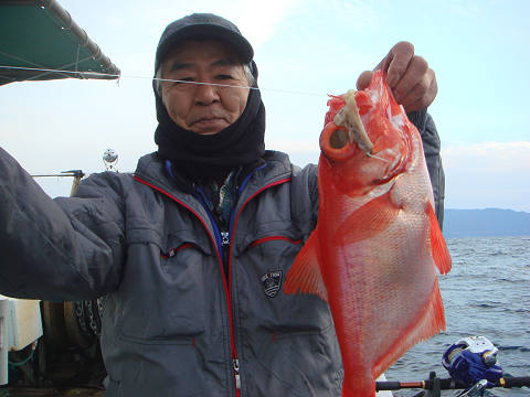 [Cނ