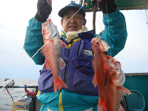 [Cނ
