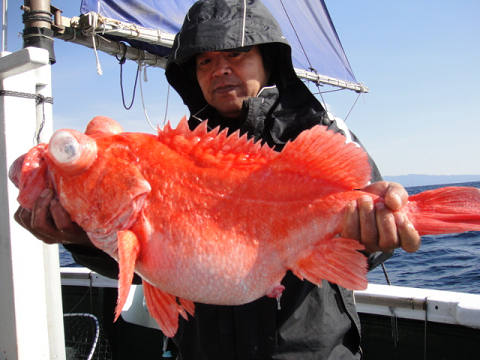 [Cނ