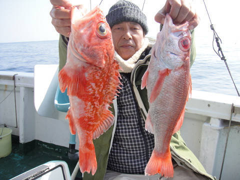 [Cނ