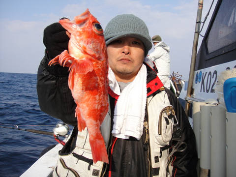 [Cނ