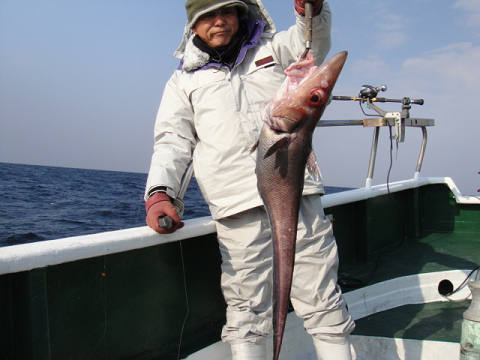 [Cނ