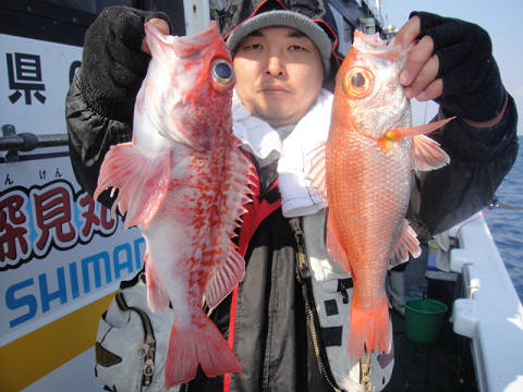 [Cނ