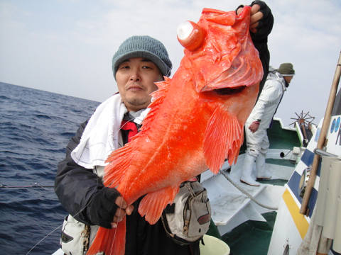 [Cނ