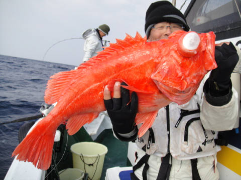 [Cނ