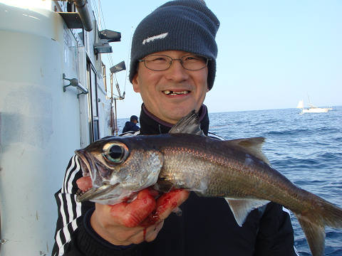[Cނ