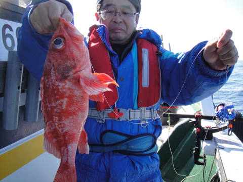 [Cނ