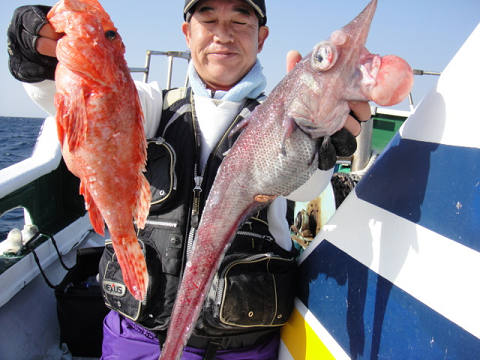 [Cނ