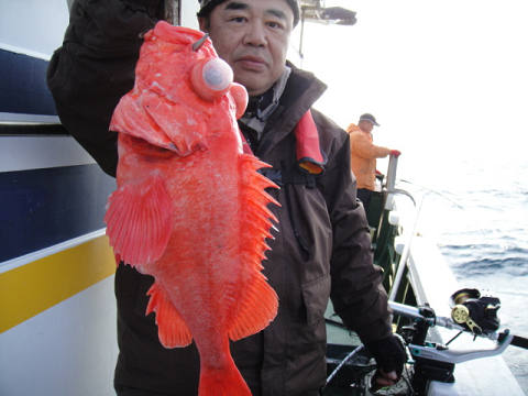 [Cނ