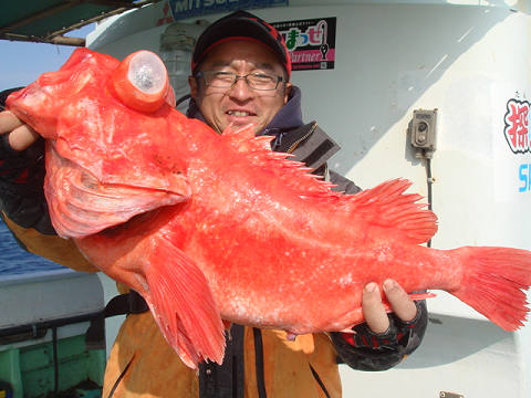[Cނ