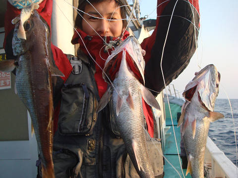 [Cނ