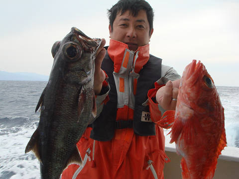 [Cނ