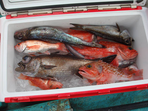 [Cނ
