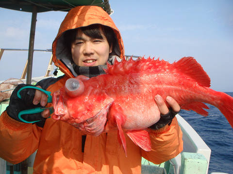[Cނ