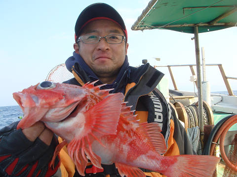[Cނ