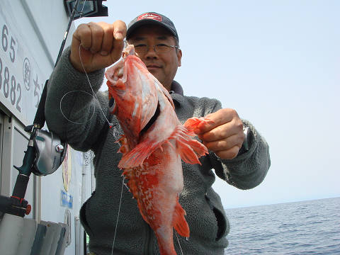 [Cނ