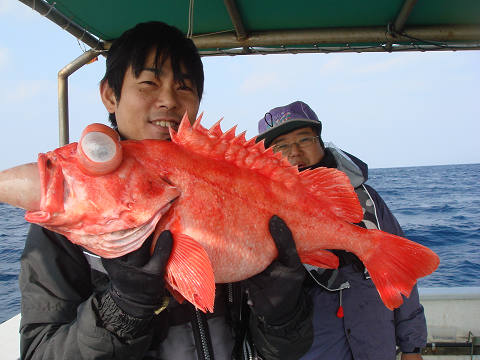 [Cނ