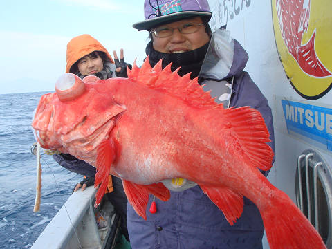 [Cނ