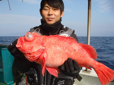 [Cނ