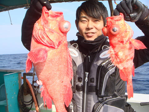 [Cނ