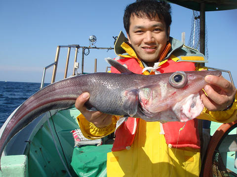 [Cނ